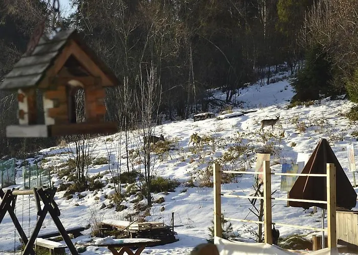 Mountain Smolenisko W Gorach Nowy Targ